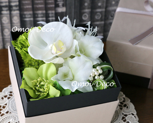 胡蝶蘭とデンファレのボックス